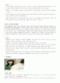 성폭력문제에 관한 조사 10페이지