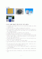 저시력 학생의 보행 11페이지