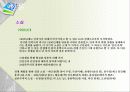 사회가 문학에 영향에 미치는 영향 12페이지