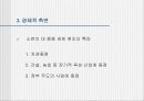 소련의 중동진출 분석 21페이지
