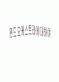 오케스트라 음악 감상문 대학레포트 2페이지