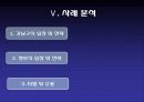 중앙정부와 지방정부의 정책 갈등 11페이지