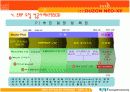 [A+레포트]ERP시스템 및 실제 구축(프로그램 사용-41페이지) 10페이지