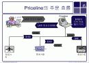 Priceline Case study 6페이지