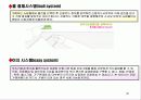 애견휘트니스클럽사업계획서 30페이지