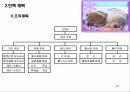 애견휘트니스클럽사업계획서 63페이지