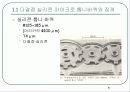 마이크로 머신의 세계1 5페이지
