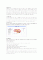우울증의 원인과 행동특성 1페이지