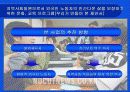 외국인 노동자의 인간다운 삶을 보장하기위한 프로그램 17페이지