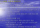 고령화 사회에 대한 분석 6페이지
