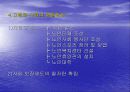고령화 사회에 대한 분석 7페이지