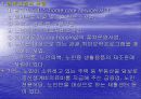 고령화 사회에 대한 분석 11페이지