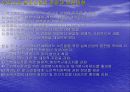 고령화 사회에 대한 분석 15페이지