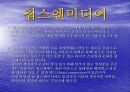 칩스엔 미디어 분석 12페이지
