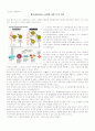 줄기세포(stem cell)에 대한 나의 의견 1페이지