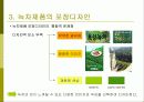 녹차제품의 디자인 제안 11페이지