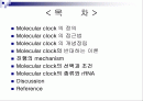 Molecular clock 분자시계의 정의 및 조건 2페이지