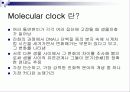 Molecular clock 분자시계의 정의 및 조건 4페이지
