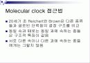 Molecular clock 분자시계의 정의 및 조건 5페이지