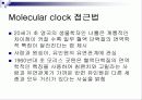 Molecular clock 분자시계의 정의 및 조건 6페이지