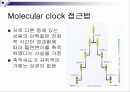 Molecular clock 분자시계의 정의 및 조건 7페이지
