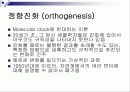 Molecular clock 분자시계의 정의 및 조건 10페이지