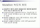 Molecular clock 분자시계의 정의 및 조건 14페이지