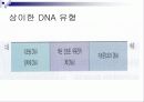 Molecular clock 분자시계의 정의 및 조건 15페이지
