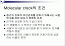 Molecular clock 분자시계의 정의 및 조건 18페이지