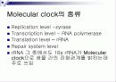 Molecular clock 분자시계의 정의 및 조건 19페이지