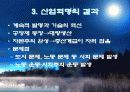 영국과 프랑스의 교육사 4페이지