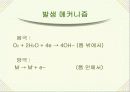재료전기 화학 틈부식 4페이지