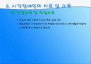 시각장애PPT 14페이지