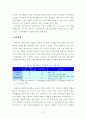 부천시 문화산업 클러스터(Cluster)발전을 위한 정부의 역할과 추진전략 30페이지