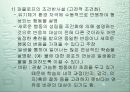 [교육] 사회화의 개념과 이론들 14페이지