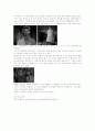 로마의 휴일 속 1950년대 패션 3페이지