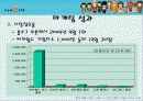 싸이월드의 미니홈피 마케팅 분석 27페이지