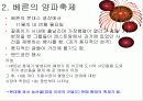 계절별 스위스 축제 소개 14페이지