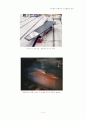 극초음속(Hypersonic) 비행기와 스크램제트 엔진 (Scramjet Engine) 14페이지