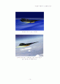 극초음속(Hypersonic) 비행기와 스크램제트 엔진 (Scramjet Engine) 16페이지