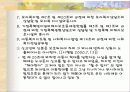 아동복지법 분석 및 비평 20페이지