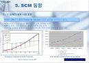 SCM이란 무엇인가 19페이지