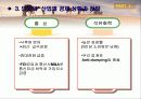 인도와 중국의 성장과 좌절 26페이지