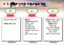 인도와 중국의 성장과 좌절 28페이지