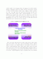 반도체환경기술의 국내외 최근동향 및 향후 기술개발방향 10페이지