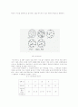 결정입도측정보고서 6페이지