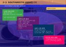 사우스웨스트 항공사 기업분석 및 경영성공전략 (key points of southwest airlines's success) 10페이지