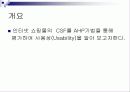 AHP기법을 이용한 인터넷 쇼핑몰 CSF분석 3페이지