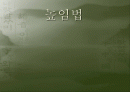 한국어의 구조 높임법 조사 1페이지