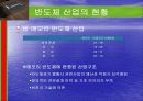 반도체산업 19페이지